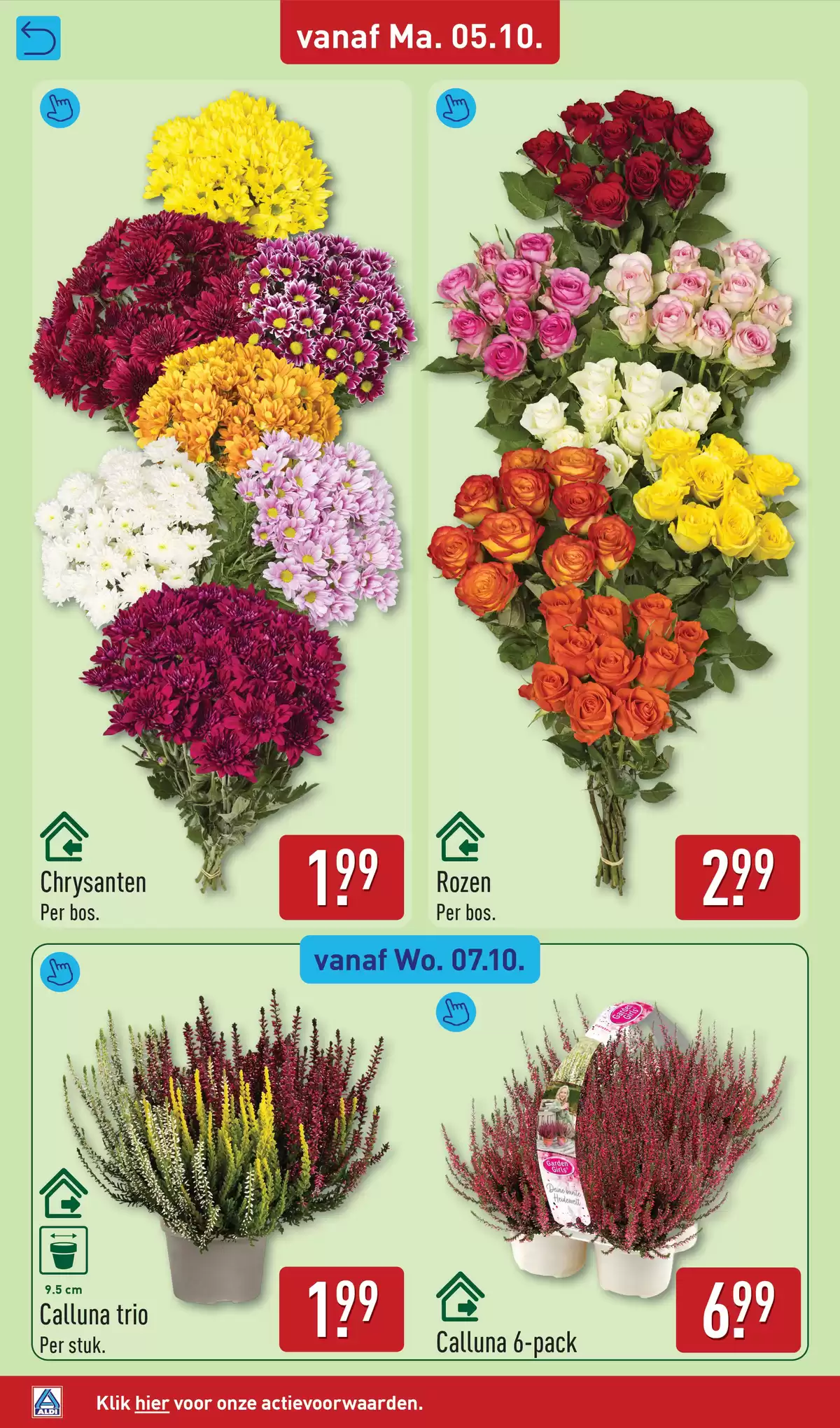 Pagina 38