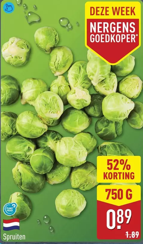 Spruiten
