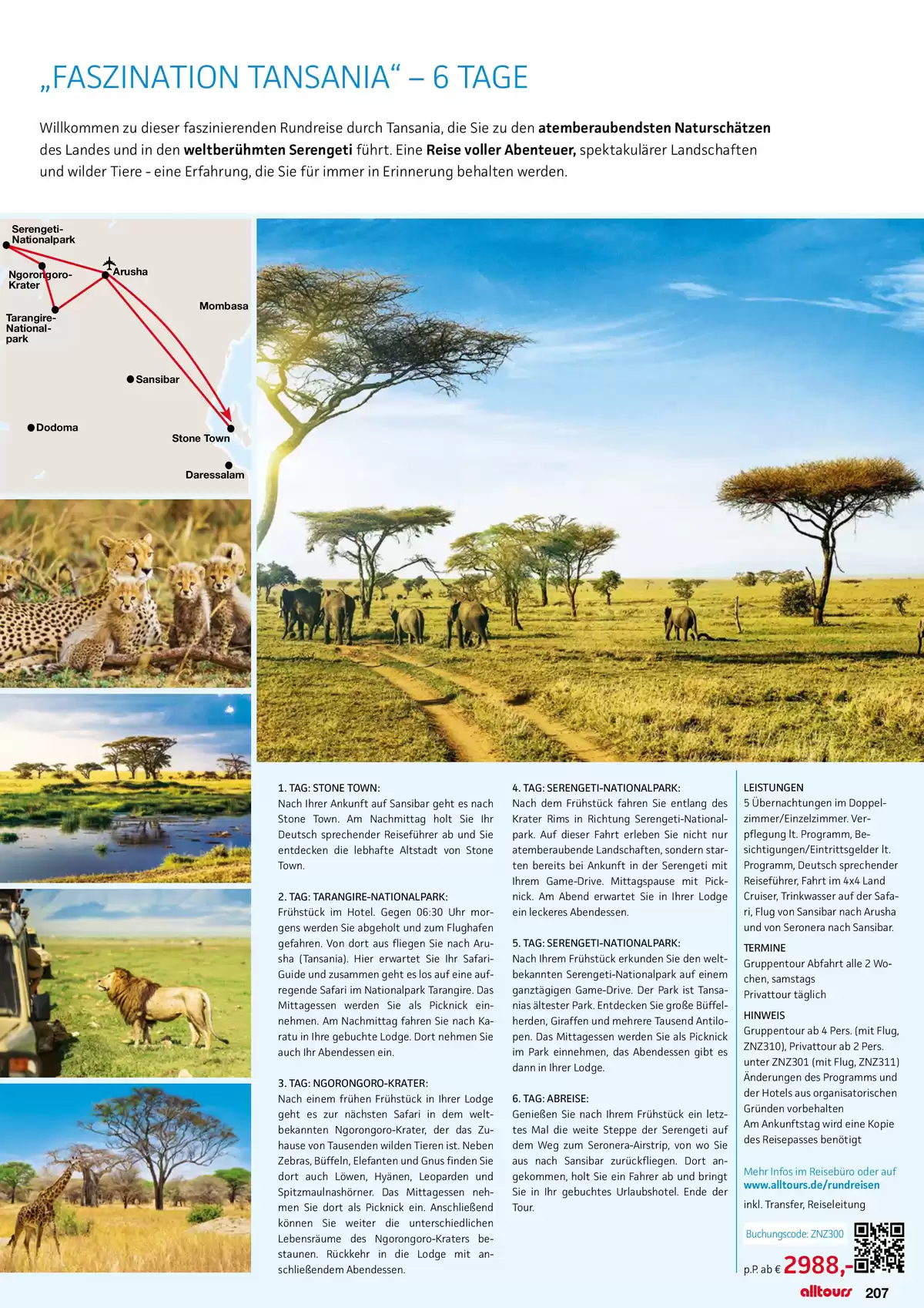 Pagina 207