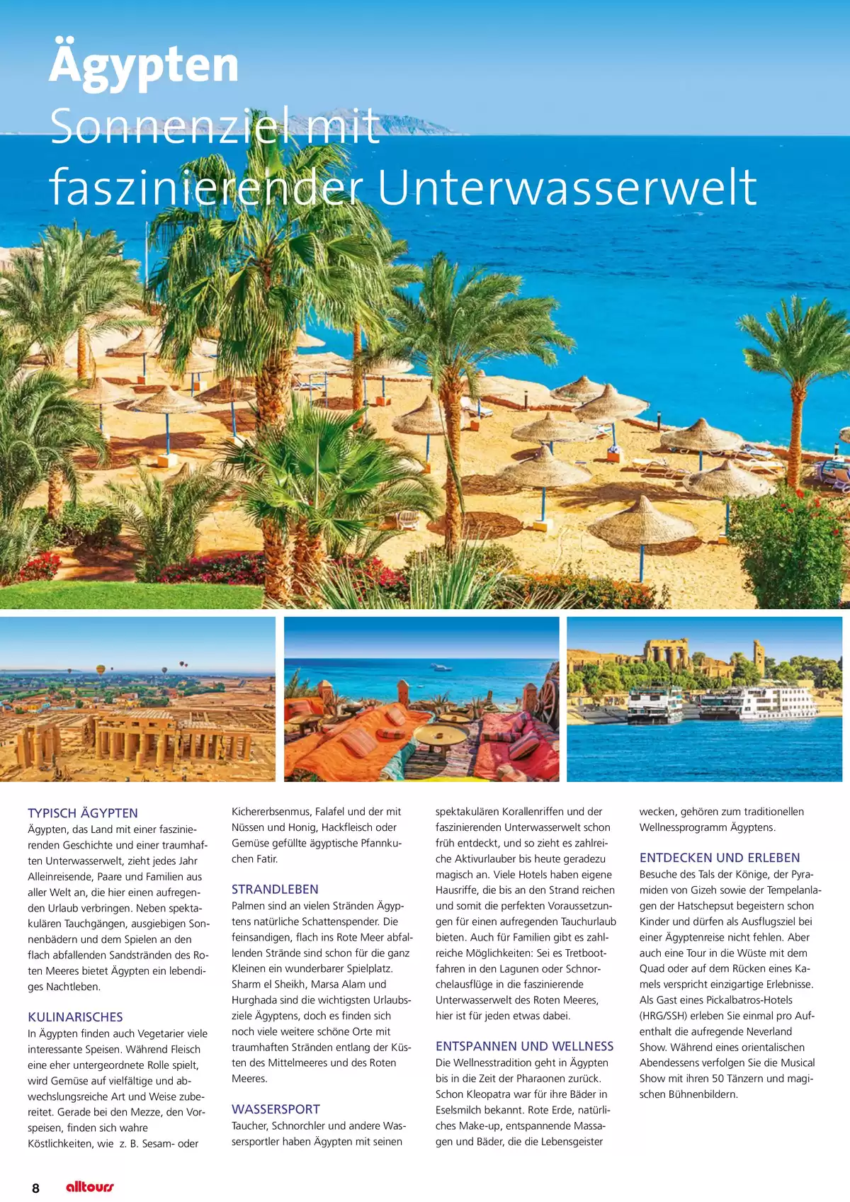 Pagina 8