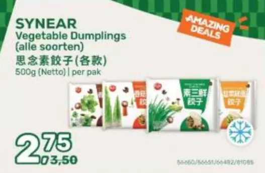 Vegetable Dumplings