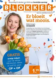 Blokker - Blokker week 43 2025