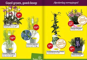 Goed groen, goedekoop