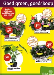 Goed groen, goedekoop