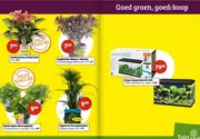 Goed groen, goedekoop