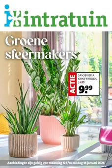 Groene sfeermakers