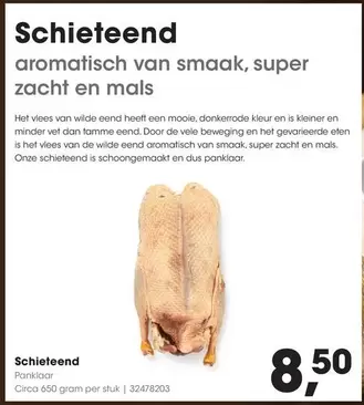 De - Schieteend Pankoar