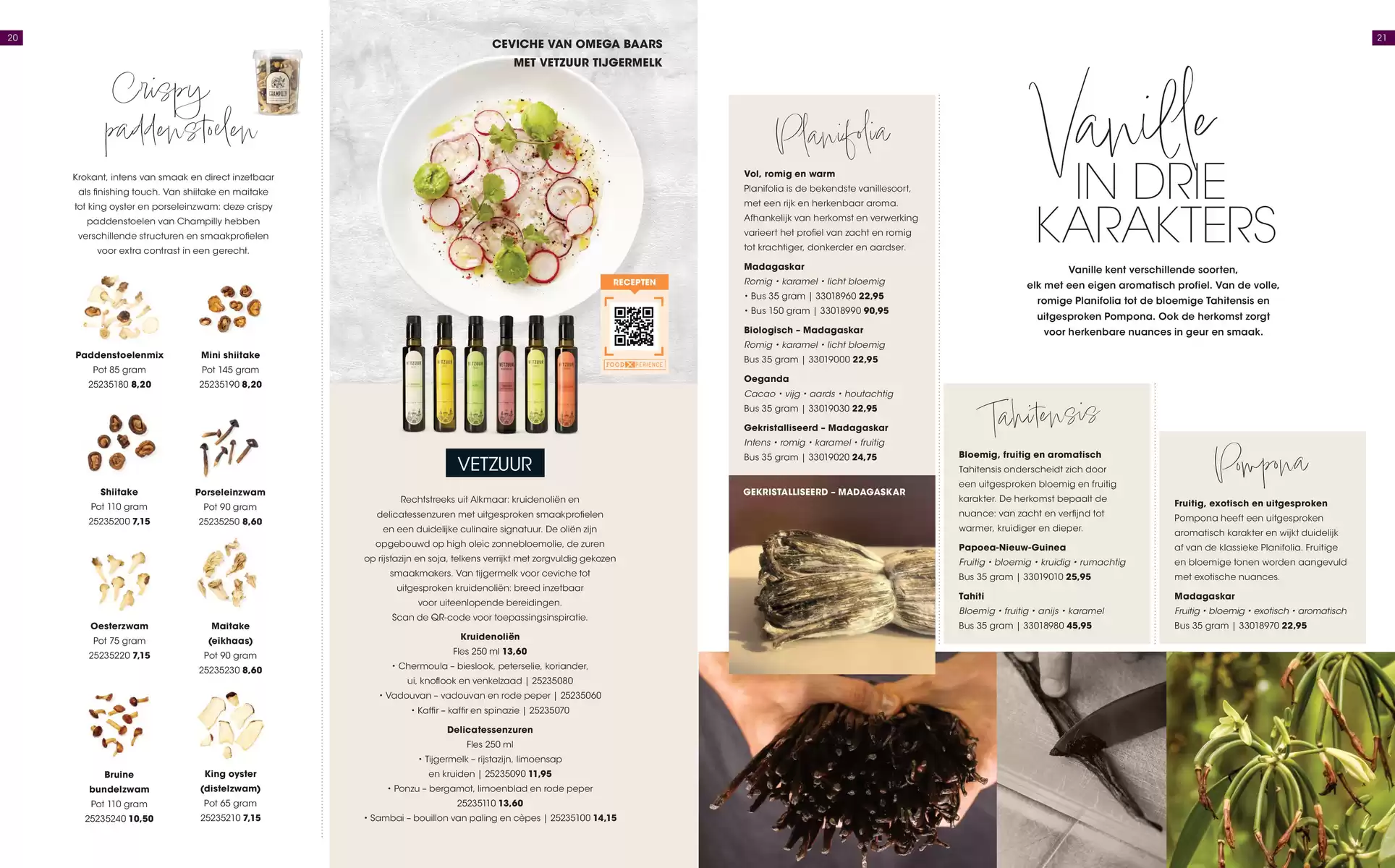 Pagina 11