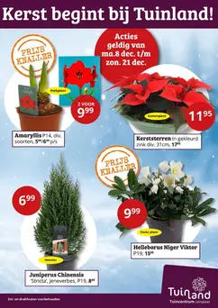 Kerst begint bij Tuinland!