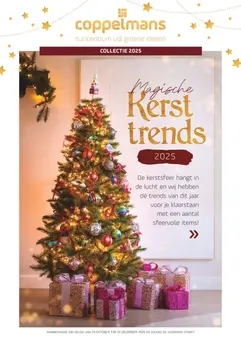 Kerst trends 2025