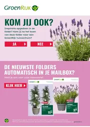 Lavendel