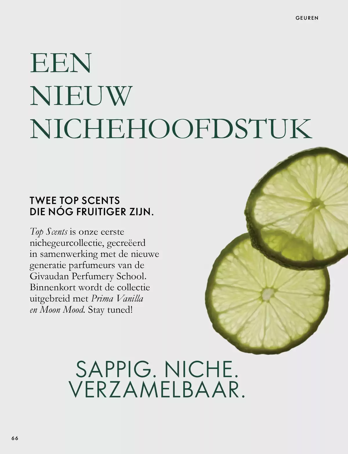 Pagina 66