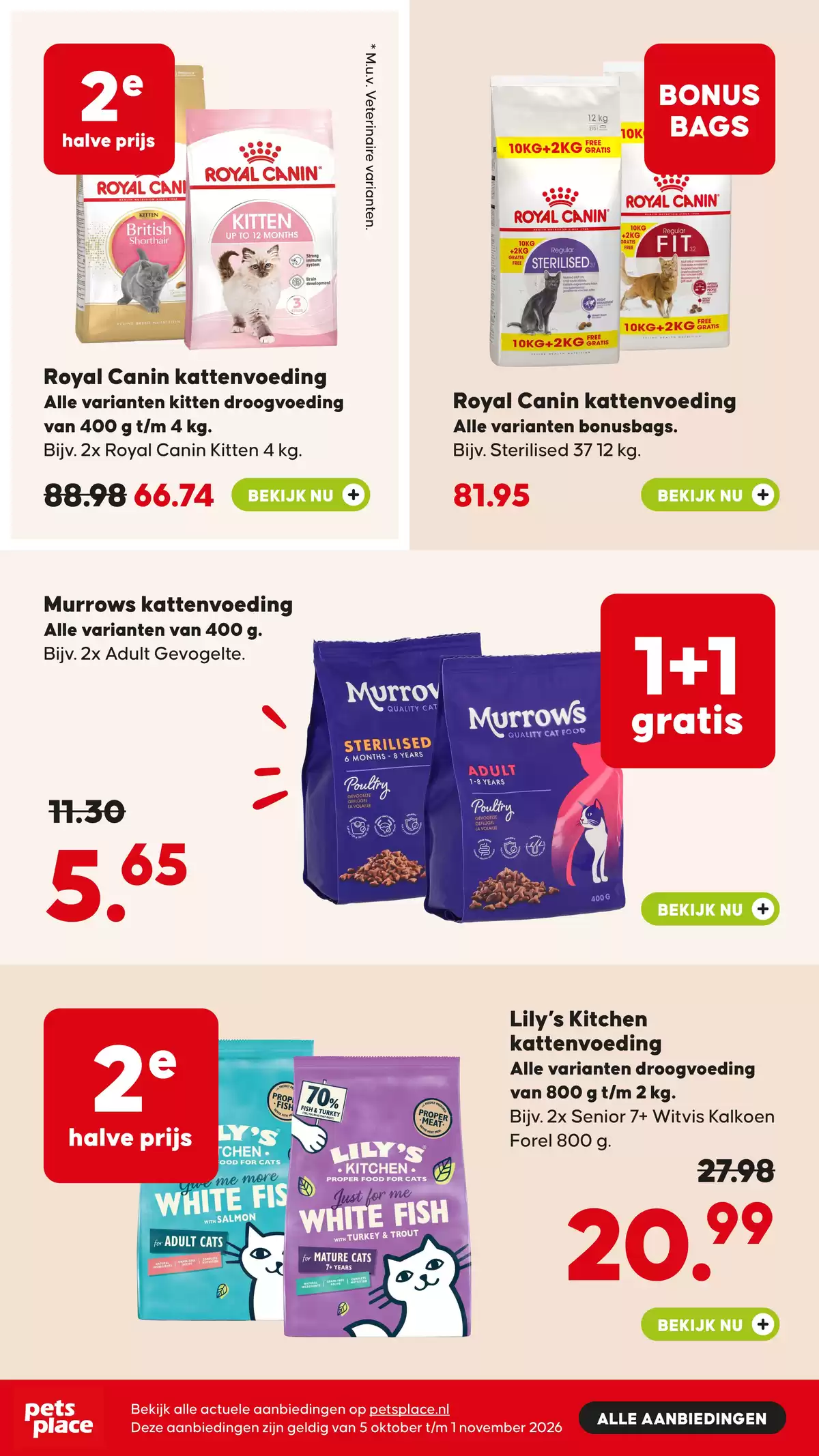 Pagina 5