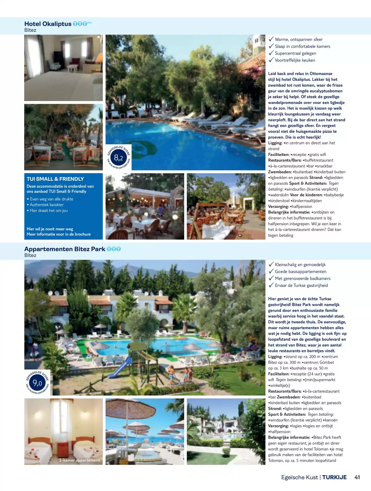 Pagina 41