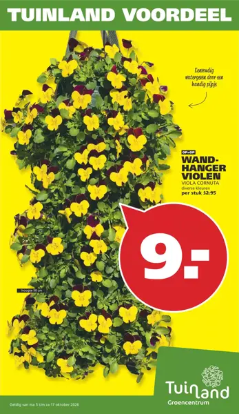 Ontdek aantrekkelijke aanbiedingen