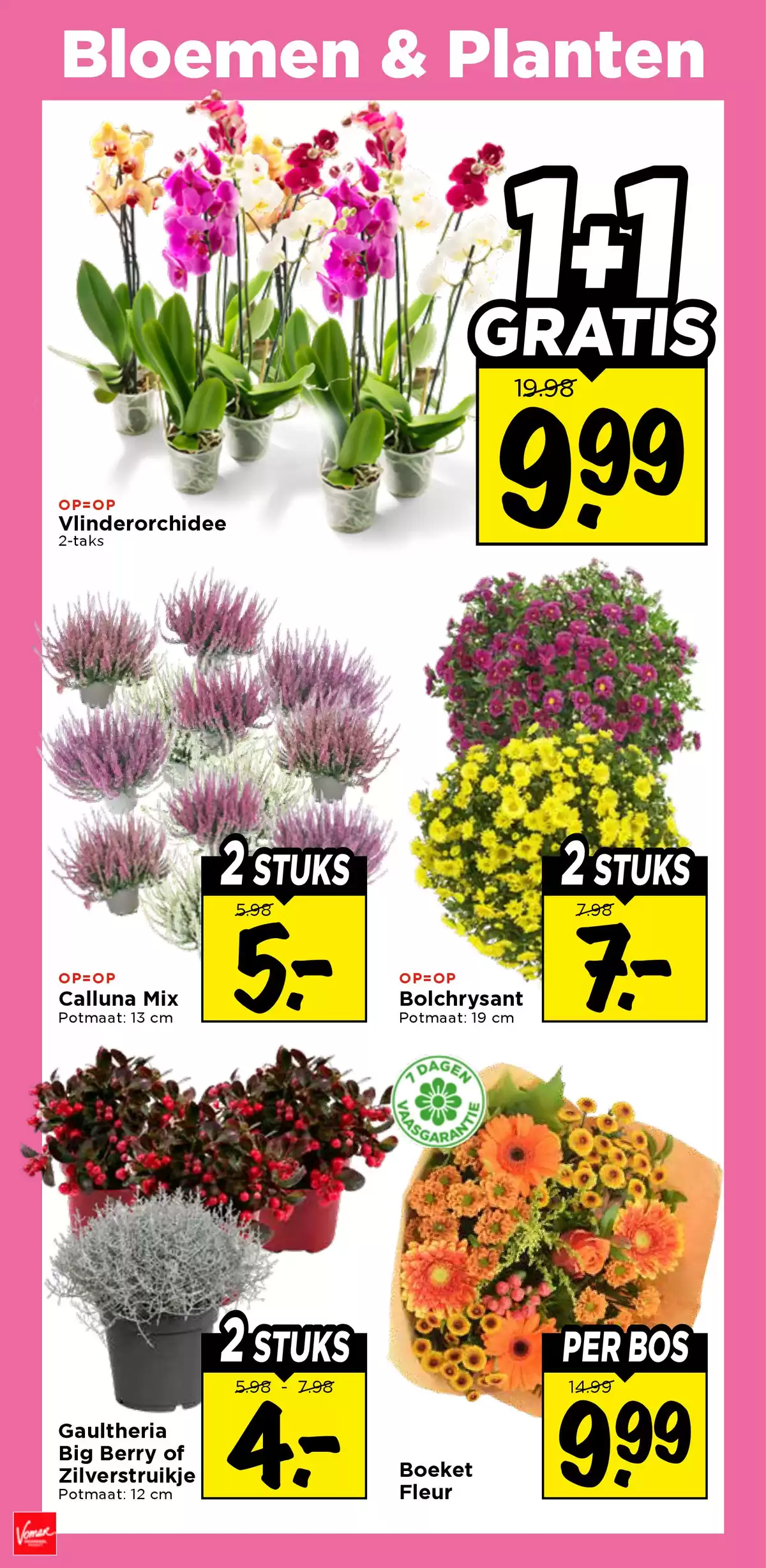 Pagina 31