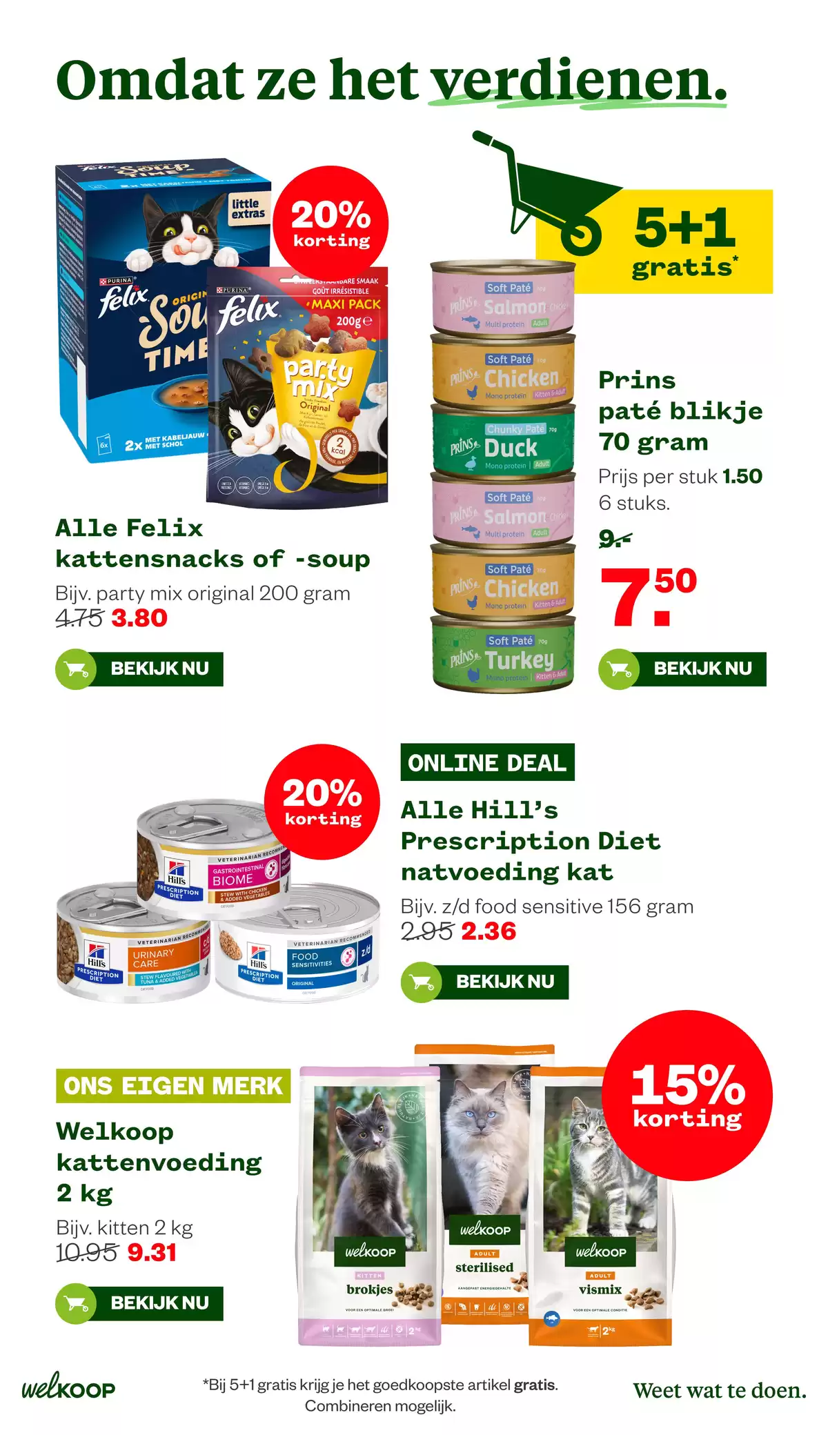 Pagina 7
