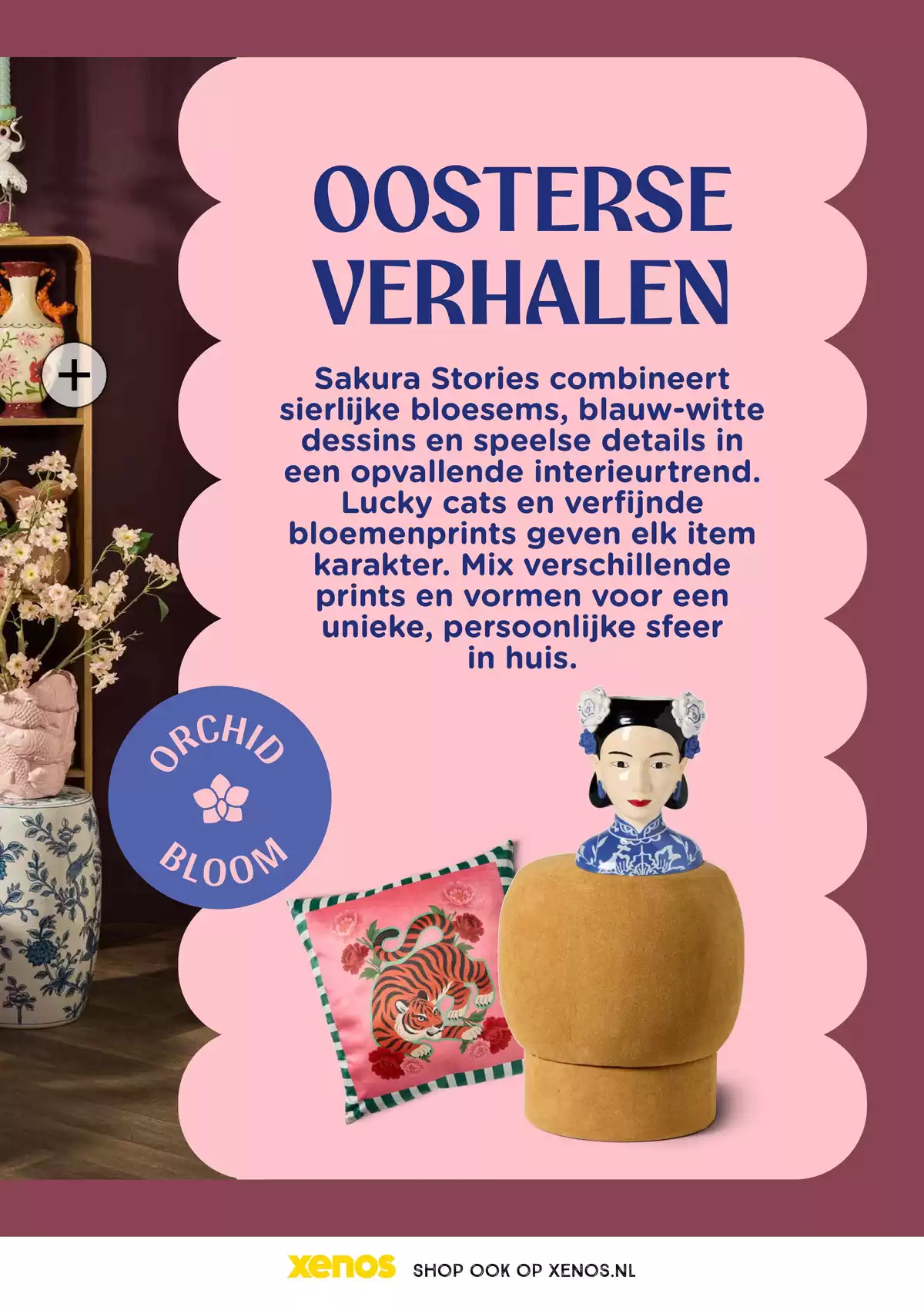 Pagina 43