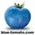 Blue Tomato